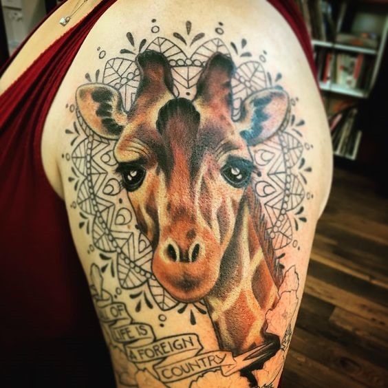 Tatuagens de girafas