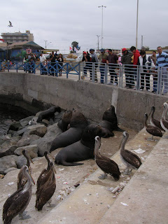 antofagasta