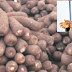 Nigeria to begins yam export to Europe, U.S. on June 29