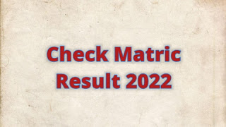 check matric result 2022