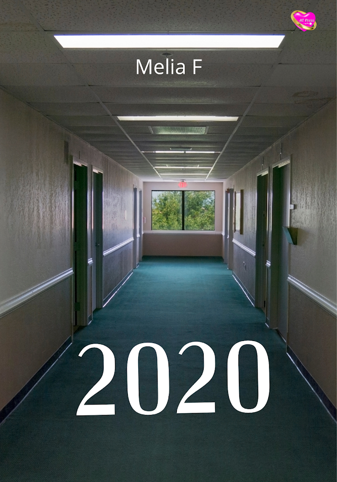 Novel: 2020 