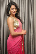 Shruti sodhi glamorous saree photos-thumbnail-7