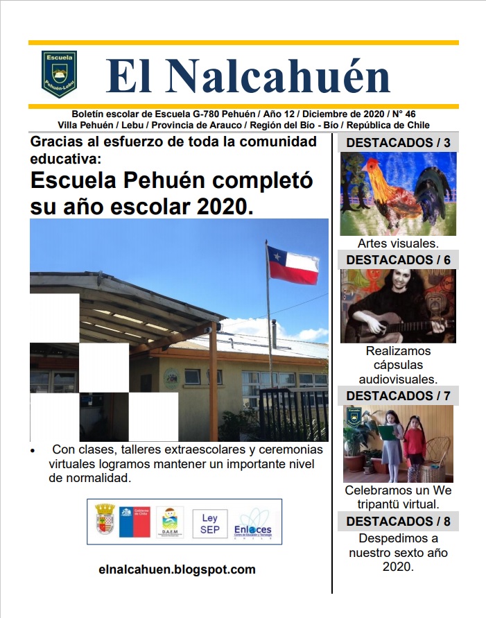 El Nalcahuén IMPRESO N° 46 (Diciembre de 2020)