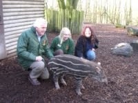 Sheryl Todd Visits Dudley Zoo, UK