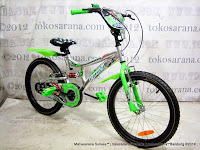 20 Inch Family Champion Suspension BMX Bike Silver/Green