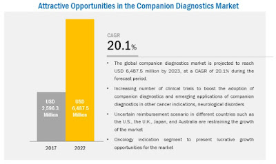 Companion Diagnostics Market