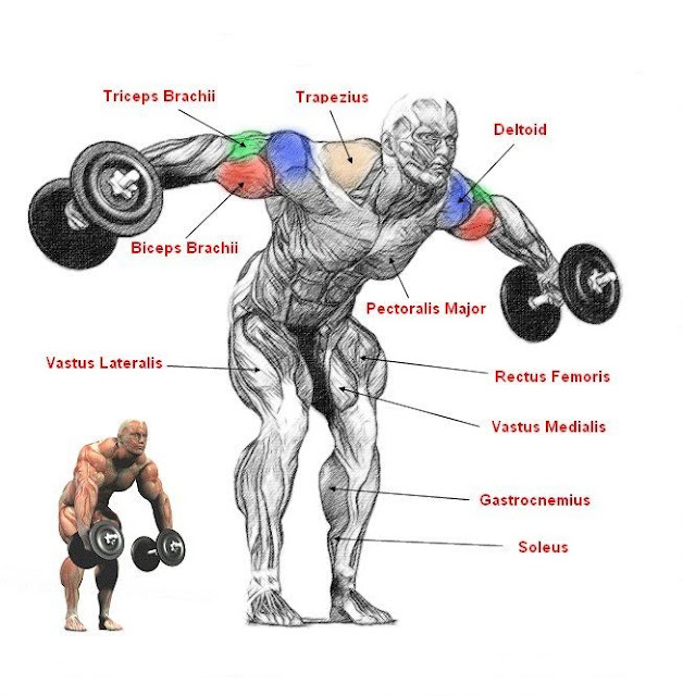 Rear Shoulder Raises 