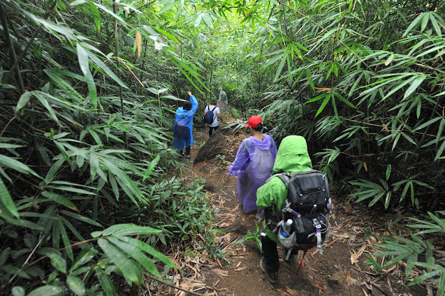 Trekking băng rừng Núi Dinh