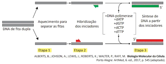 Nesse contexto, observe a figura a seguir.