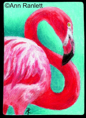 Pink 8 - color pencil drawing by Ann Ranlett