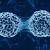 NUEVO DESCUBRIMIENTO ABRE LA POSIBILIDAD DE IMPEDIR LA METÁSTASIS DEL CÁNCER
