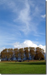 Picturesque rugby field