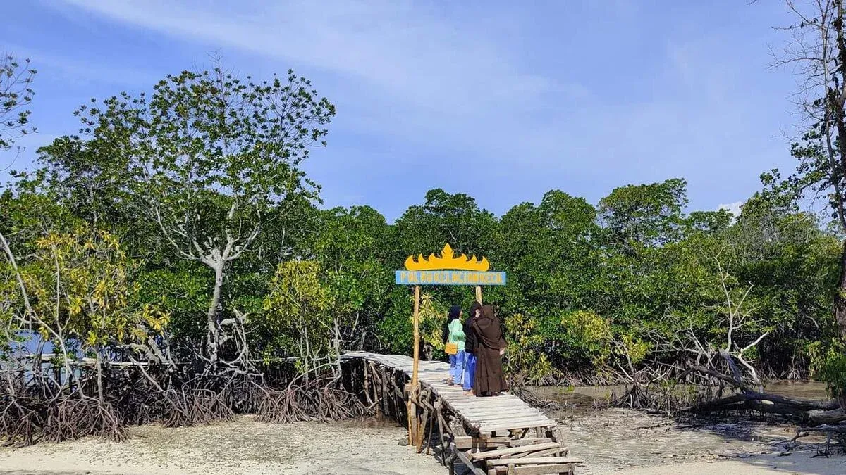 mangrove kelagian kecil lampung