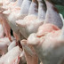 Global poultrymeat prices on the rise.