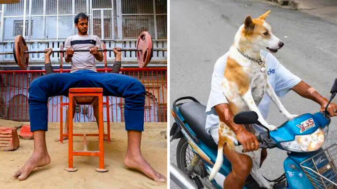 A Talented Photographer, Tavepong  Pratoomwong, captures interesting coincidences on the streets