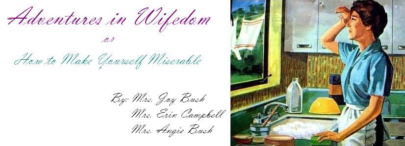 Adventures in Wifedom