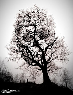 Maera: The Dark Tree of Death