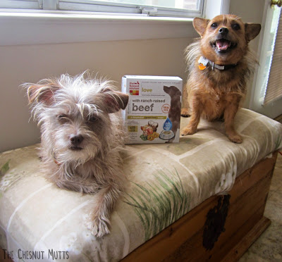 Bailey and Jada with a box of "Love" from THK