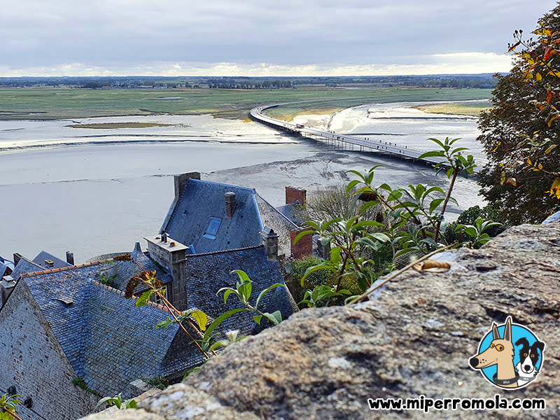 Mont Saint-Michel con Perros - 23 Las Vistas desde la Muralla