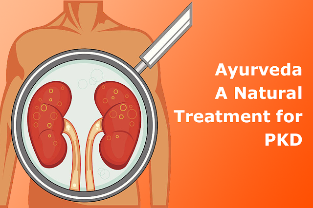 Ayurveda: A Natural Treatment for Polycystic Kidney Disease