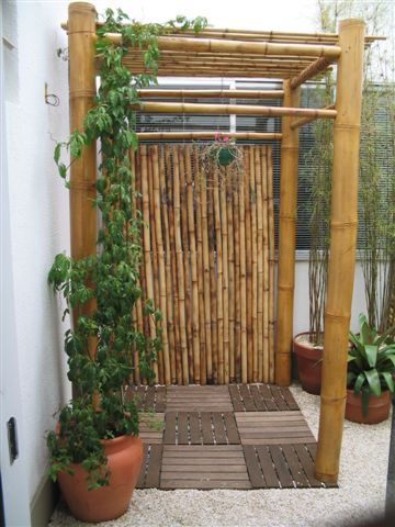 Bamboo Ideas Pictures4