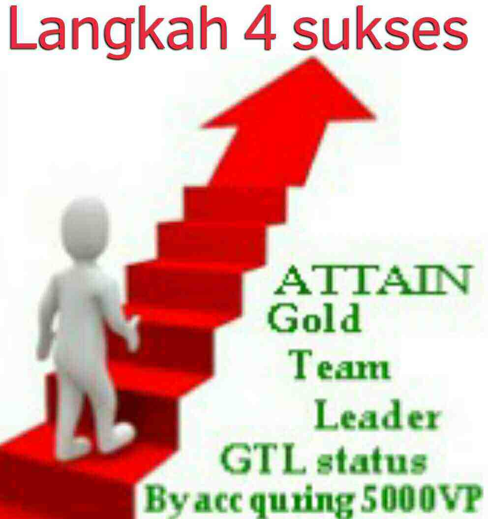 sfi-goldteamleader