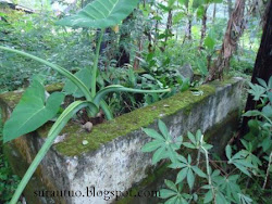 MAKAM Syekh Harun Toboh di Batipuah(w. 1959)