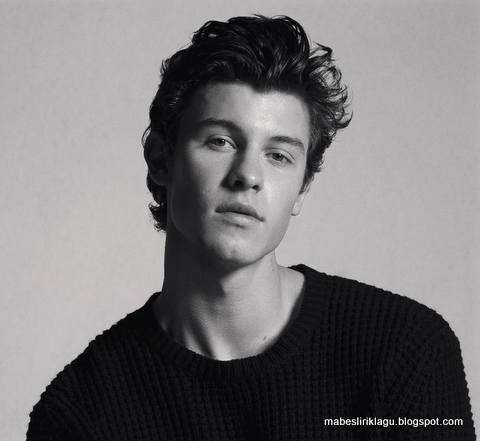 Shawn Mendes - In My Blood Lirik