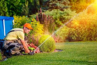 Landscaping company in UAE