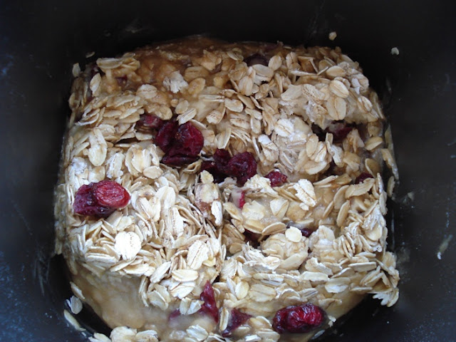 bread machine oatmeal cookie dough