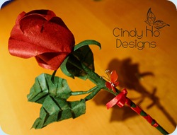 IMG_4382 copy