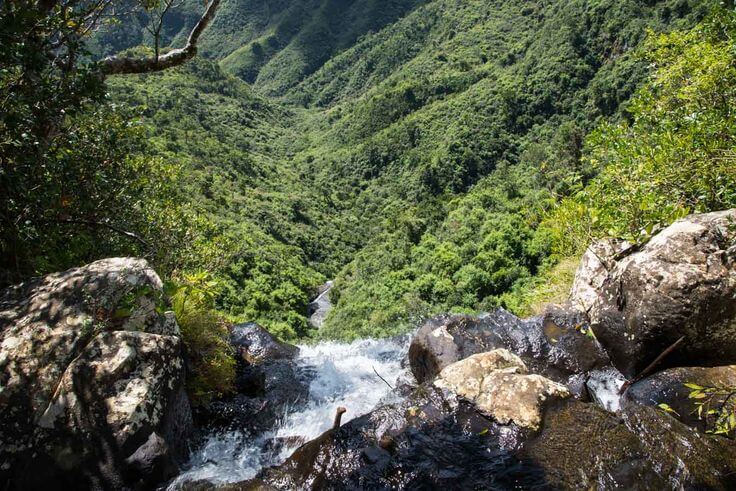 Black River Gorges National Park -  places to visit in Mauritius