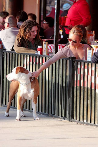 Hayden Panattiere, Dog, hollywood, hotel, lunch,