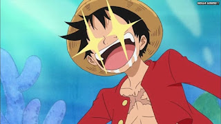 ワンピースアニメ 魚人島編 531話 ルフィ かわいい Monkey D. Luffy | ONE PIECE Episode 531