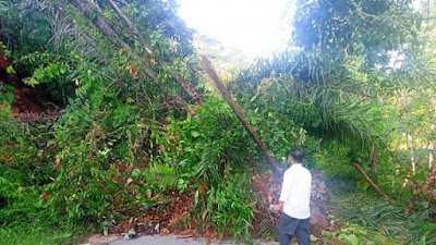 Jalan Trom kota Langsa sekitar Tertutup oleh Longsor dan Pohon Tumbang