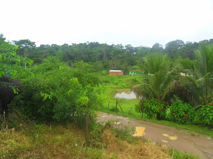 Comunidade Quilombola do Canarisco em Nova Ibiá