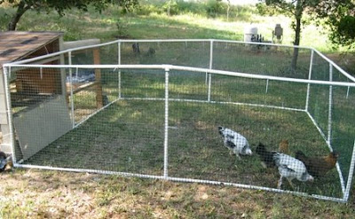 PVC Chicken Tractor