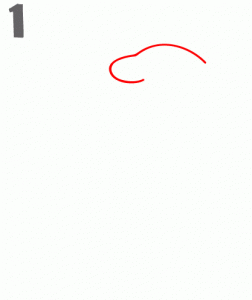تعليم كيفية رسم الحرباء في خطوط رسم سهلة