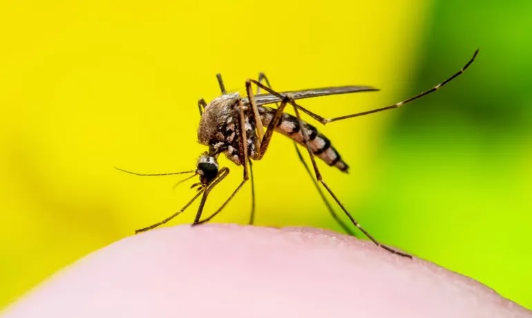 SOBE PARA 49 O NÚMERO DE MORTES POR DENGUE NA BAHIA