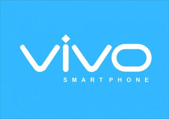 Vivo has introduced 2 low priced smartphones