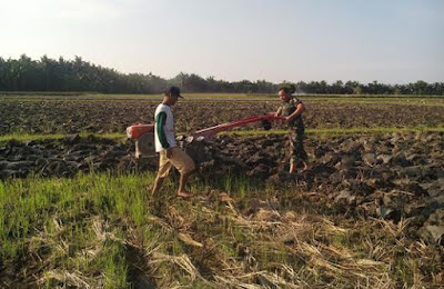 Koptu A.Fahmi Babinsa Air Putih Bantu Menjetor Sawah Petani