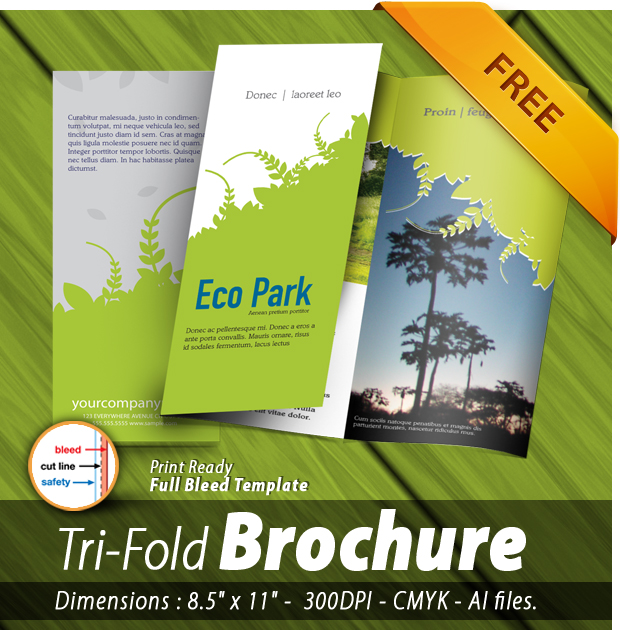 Free Brochure Design5