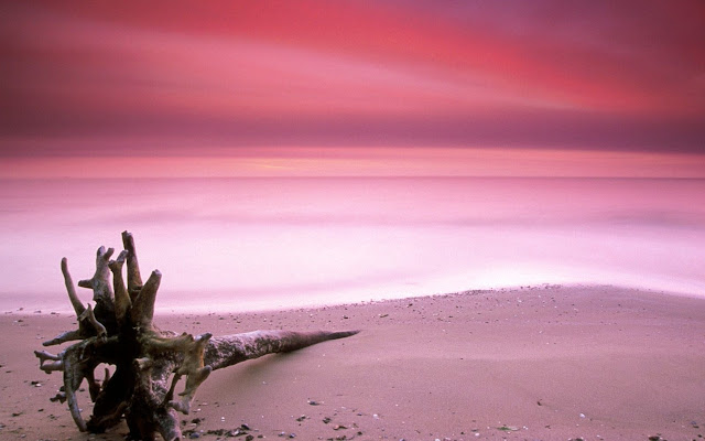 Pink Beach Harbour Island