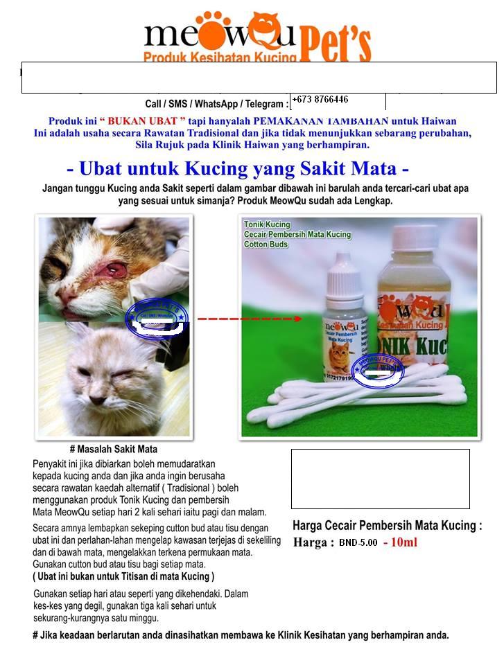 Ubat Titis Telinga Kucing - Rawatan m