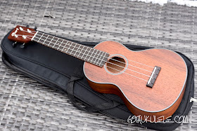 Cort UKE-BWC Ukulele