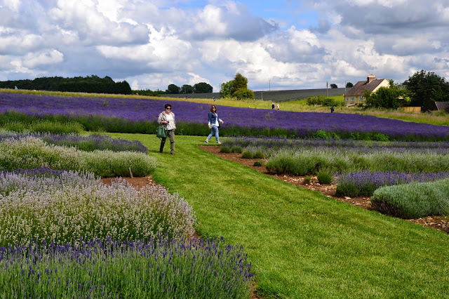 Cotswolds - praktycznie