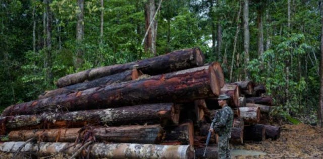 Governo prorroga operação das Forças Armadas na Amazônia até abril de 2021