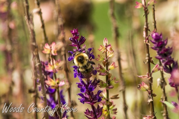 AUGUST 2015 (15 of 51)