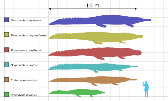 Comparación tamaño de los cocodrilos más grandes de la historia