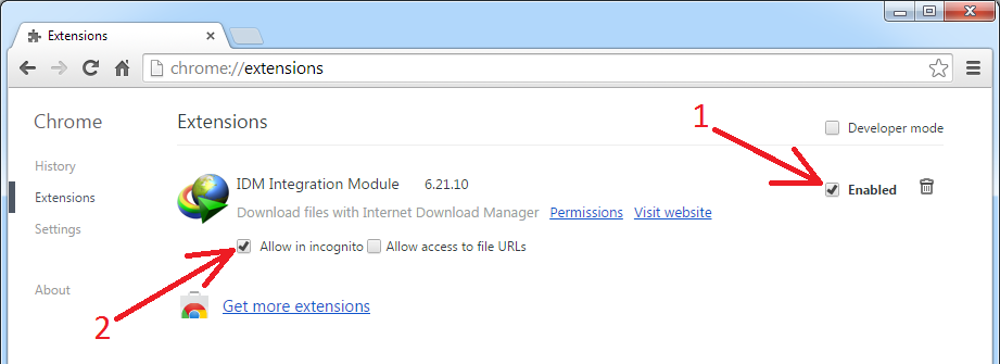 How to configure IDM extension for Chrome - Free Internet ...